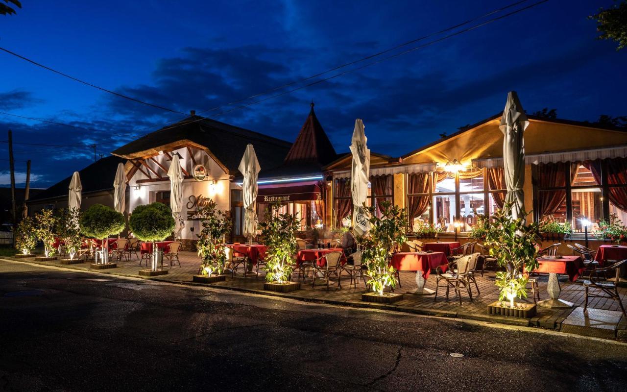 Penzión Heléné Hotel Veľký Meder Exterior foto